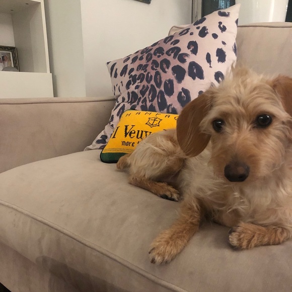 Meet your Posher, Julia - Picture 3 of 7